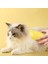 Buharlı Yumuşak Silikon Uçlu Kedi &amp;amp; Köpek Tüy Tarama Tarağı Yıkama Fırçası (4887) 3