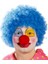 Mavi Renk Kıvırcık Afro Palyaço Seti 1