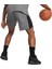 Shot Blocker Erkek Gri Basketbol Şort 62305914 2