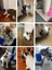 Kedi Kaşınma Tırmalama Ve Sürtünme Aparatı Kedi Masaj Fırçası Kedi Naneli 5