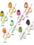 Tai -Raba Scramble Egg 120gr - 01 GDSO 3