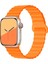 Digizone Apple Watch Series 2/3/4/5/6/7/8/9/se 38MM 40MM 41MM Uyumlu Mıkantıslı Silikon Kordon 1