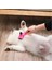 Otomatik Temizlenen Tuşlu Evcil Hayvan Fırçası Kedi Köpek Tarağı 7