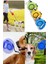 5 Metre Otomatik Makaralı Köpek Gezdirme Tasması ve Yürütme Kayışı Tasma Boyun Pup Style Şerit İpi 5