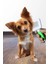 Evcil Hayvan Kedi Köpek Tüy Tarama Kma Fırçası Tarağı Telli Fırça Ped Kedi Köpek Pire Fırçası 4