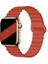 Digizone Apple Watch Series 2/3/4/5/6/7/8/9/se 38MM 40MM 41MM Uyumlu Mıkantıslı Silikon Kordon 1