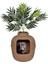 Good Pet Stuff Gizli Kedi Tuvaleti 1