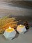 Tealight Beton Mumluk Dekoratif Mumluk Geometrik Beton Mumluk Altıgen Mumluk 1