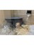 Hamster Evi Merdivenli (Pet Ürünleri) 2