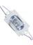 Yanıp Sönen Rgb Modül LED 48*30 2835 24 Volt 1.4 Watt 1
