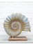 Ammonit Fosili El Yapımı Polyester Biblo 30X30CM 1