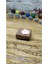 Mermer Mumluk Tealigt Traverten 6 x 6 x 2 cm 1