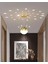 Dolunay Model Gold Kaplama 3 Renk Metal Salon Mutfak Oturma Yatak Odası Modern LED Sarkıt Avize 1