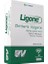 Ligone Berberis Complex 60 Kapsül Aromasız Renkli 1