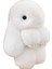 Üç Model Boyutu % 100 Doğal Rex Tavşan Kürk Sevimli Kabarık Açık Gri / Boyut: 13 cm (Yurt Dışından) 1