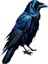 Momoart Bird Paint By Numbers Animal Home Decor No Frame Oil Painting Crow Acrylic Kits On Canvas Home Bedroom Wall ARTWORKCOLOR:AABB-5006/SIZE(CM):30X40CM No Frame (Yurt Dışından) 1