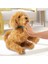Luxury MYJ00101 My Fuzzie Friends Sevimli Labrador Moji - 18207 1 Adet 1