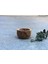 Luxury Zeytin Kase 10 cm 1 Adet 3