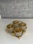 Luxury Gold Kelebekli 4lü Tepsili Kase Sunumluk/çerezlik Altın 26X25X9 cm 1 Adet 4