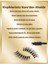 Luxury Takma Kirpik 5li Set 1 Adet 3