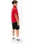 Erkek Çocuk Th Polo T-Shirt - Kırmızı 3