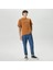 United 4 Classic Erkek Kahverengi T-Shirt 3