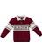 Erkek Çocuk Polo Yaka Sweatshirt 1