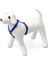 Köpek Göğüs Tasması L Mavi 65-100x2,5 cm 2