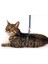Kedi Göğüs Tasması Mavi 110 cm 2