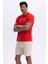 Logolu Pamuklu Regular Fit Düğmeli Polo Yaka T Shirt Erkek Polo Yaka T Shirt EM460 4