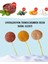 Kedi ve Köpekler İçin Ödül - Lolipop / Tavukciğer + Yabanmersini / 1,5gr * 5AD 5