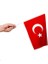 Sopalı Bez Bayrak Çıtalı Bayrak 20X30 cm - 1 Adet 1