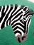 Özel Tasarım Zebra Figürlü Punch Kırlent Kılıfı / Yeşil 3