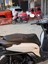 Honda Sh 125 Konfor Sele ve Paspas Set ( Kalite) 3