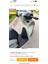 Honda Sh 125 Konfor Sele ve Paspas Set ( Kalite) 4