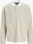 Jorwınter Strıpe Polo Yaka Antique White Erkek Sweat 12278032 V1 1