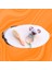 Amigurimi Koala Çıngırak&keçi Kılı Ahşap Bebek Tarağı Set 1