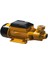 QB80 Santrifüj Pompa 1 Hp 1