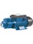 Rainpump QB70-0,7HP Santrifuj Pompa 1