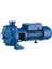 2MCP50 200 Santrifüj Pompa 2 Hp 220V 1