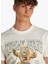 Bisiklet Yaka Ekru Erkek T-Shirt DM0DM20818YBL Tjm Reg Vrsıty Nvl 3