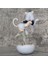 20 cm Xiaolin'in Ejderha Hizmetçisi Kedi Kulağı Conaqam Sevimli Kızın El Yapımı Modeli (Yurt Dışından) 3
