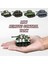 Mini Rc Araba Oyuncak Boys Için Uzaktan Kumandalı Tank Radyo Kontrollü Clawer Küçük Oyuncaklar Benzet Tankı Modeli Çocuk Hediye (Yurt Dışından) 2