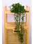 Dekoratif 4 Adet Tekli Yapay Uzun Sarkıt Bitki 210 cm Yeşil EVA-5845 C1-1-423 3