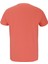 Exercıse Bıg Flag Tee Men 3