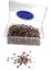 Başlı Toplu İğne (38MM) Renkli 250 gram 1