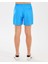 M 5 Inch Allover Print Swimshort Erkek Mavi Deniz Şortu S2510008-400 4