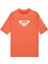 Wholehearted Ss 1