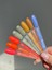 Envy Kalıcı Oje Exclusive Seri Neon Açık Turuncu 10GR NO:160 2