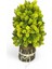 Yapay Çiçek Bonsai Ağacı Sarı Kozalaklı Kütük Saksıda Dekoratif Yapay Ağaç Bonzai 30*15 cm 1